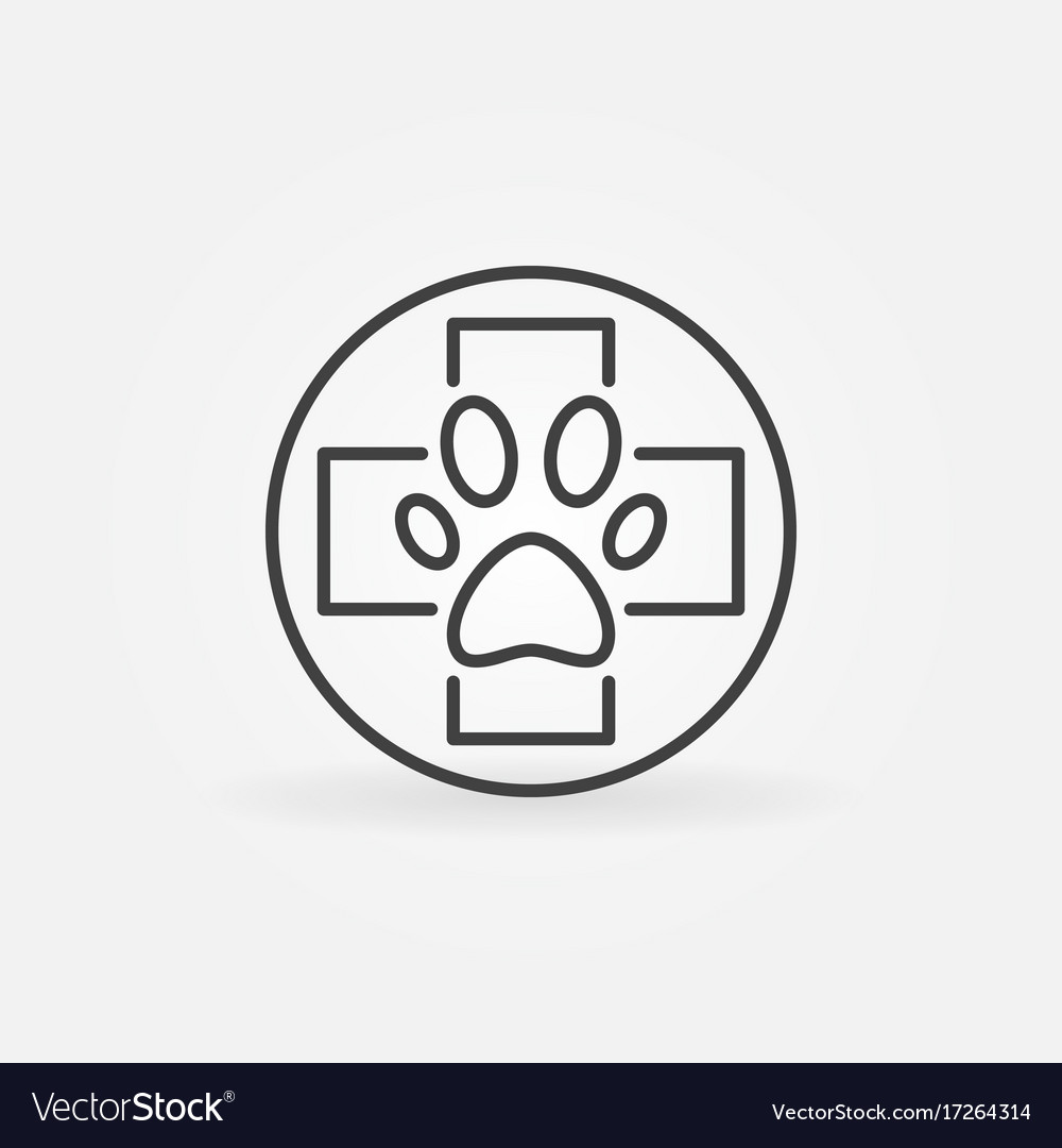 Dog paw in medical cross linear icon