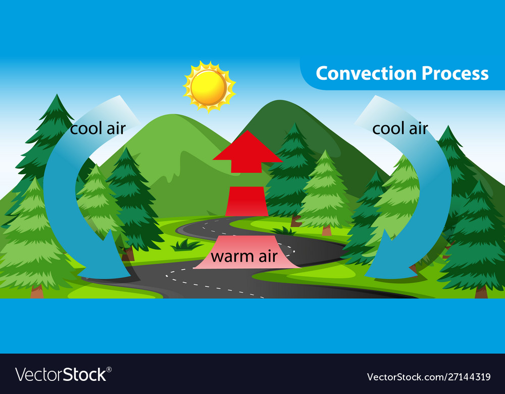 Diagram showing con process Royalty Free Vector Image