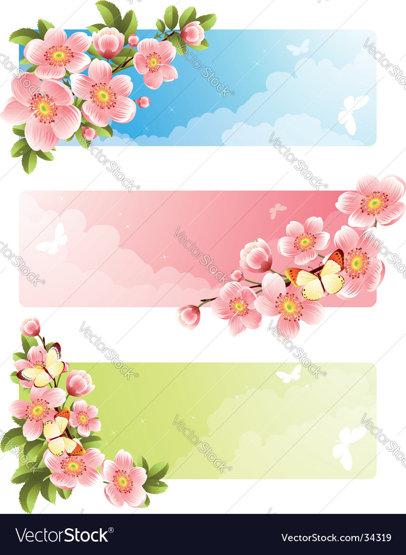 Flower bloom