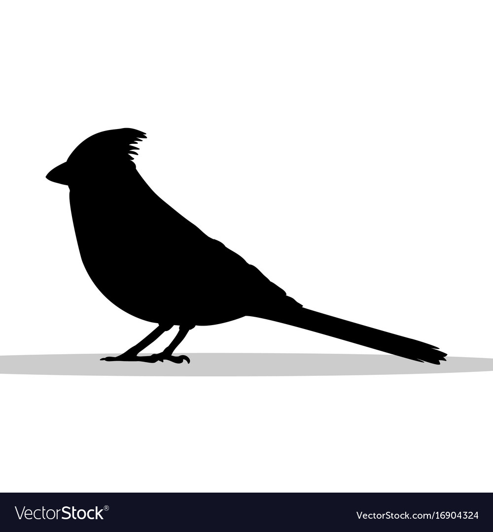 Cardinal bird black silhouette animal Royalty Free Vector