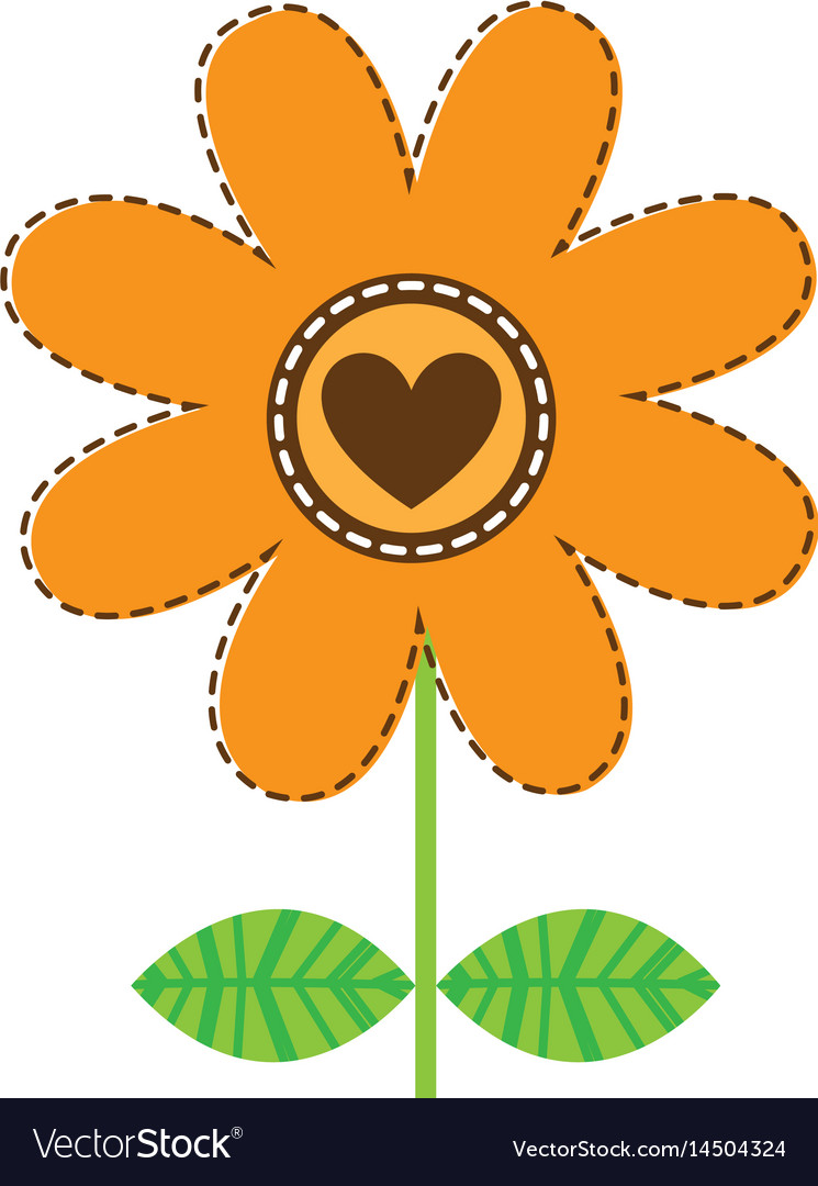 White background with orange daisy flower