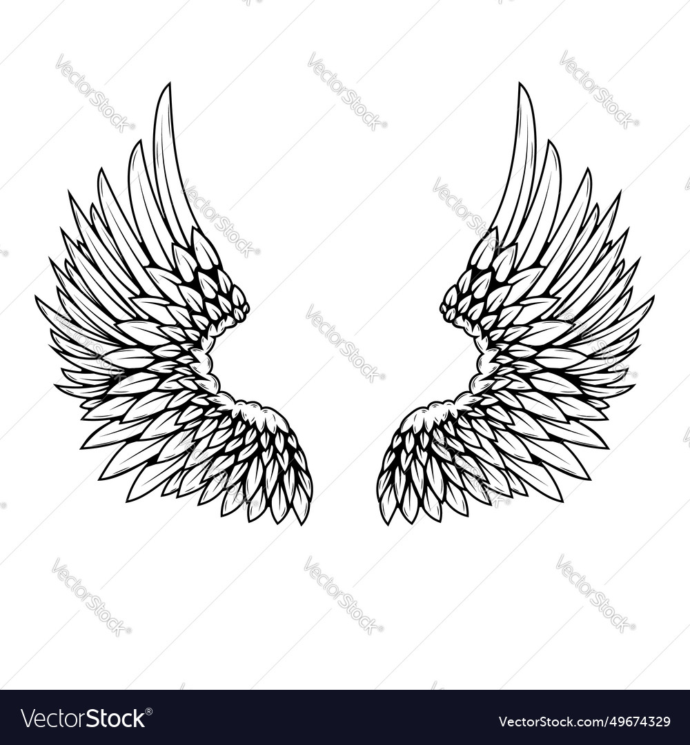 A pair of wings in black and white done Royalty Free Vector