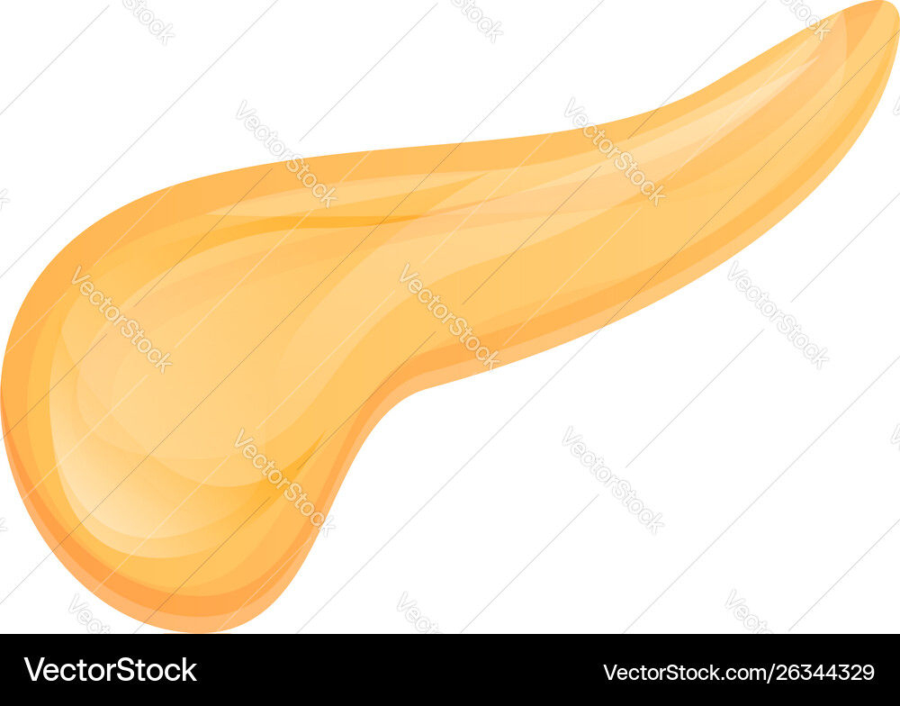 Pancreas icon cartoon style Royalty Free Vector Image
