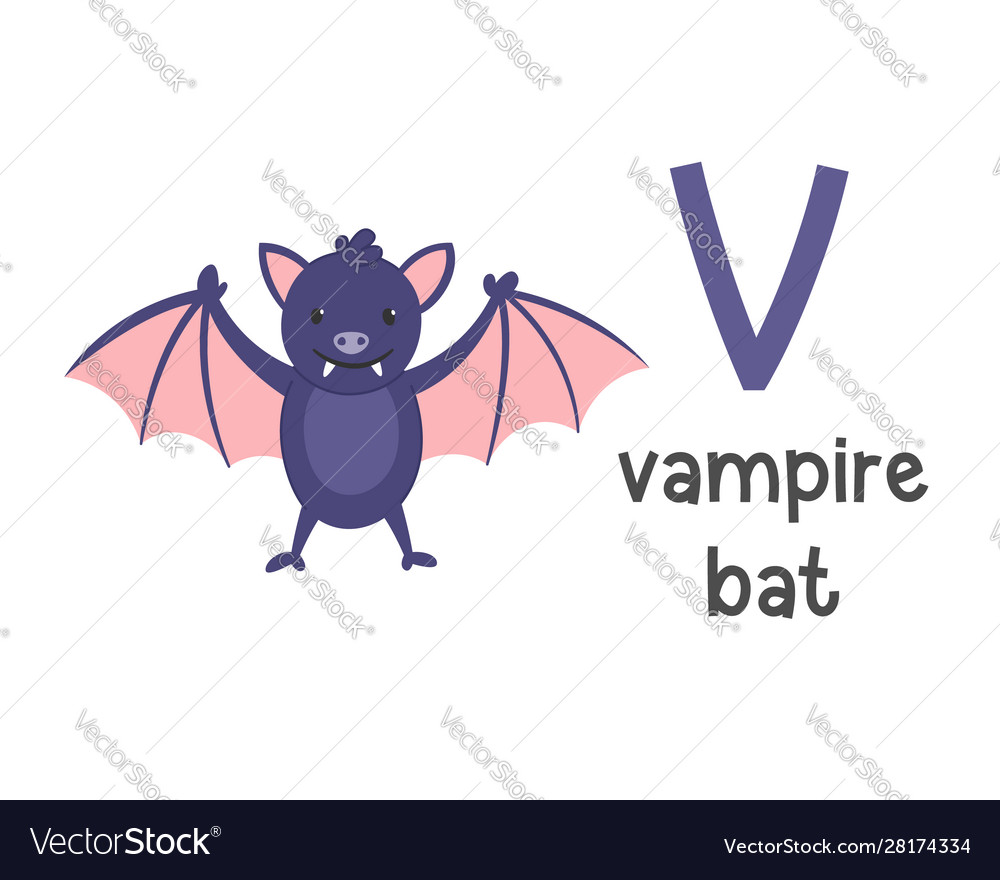 Alphabet letter v and vampire bat Royalty Free Vector Image