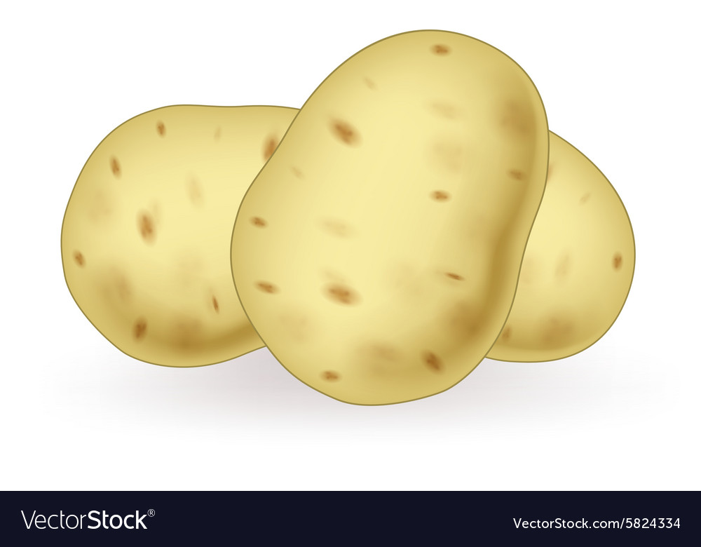 Cartoon potato Royalty Free Vector Image - VectorStock