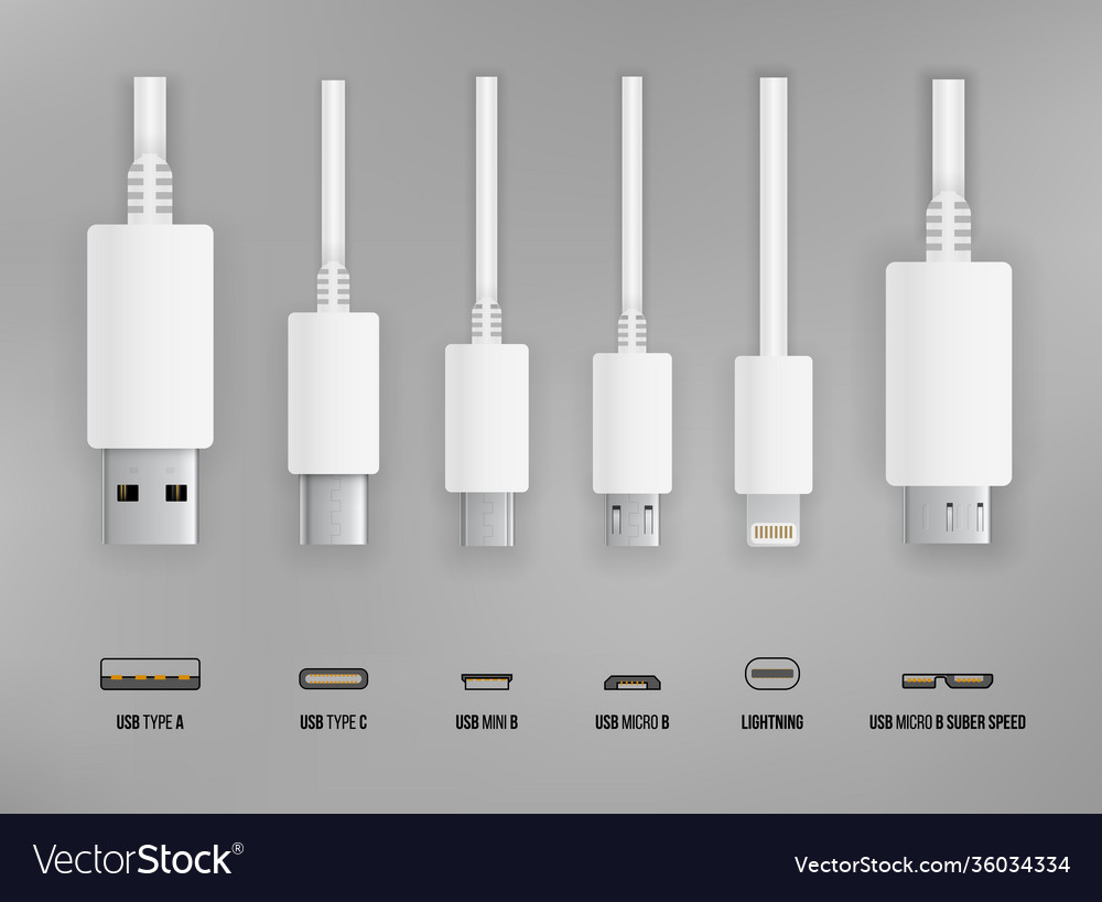 Usb all type Royalty Free Vector Image - VectorStock