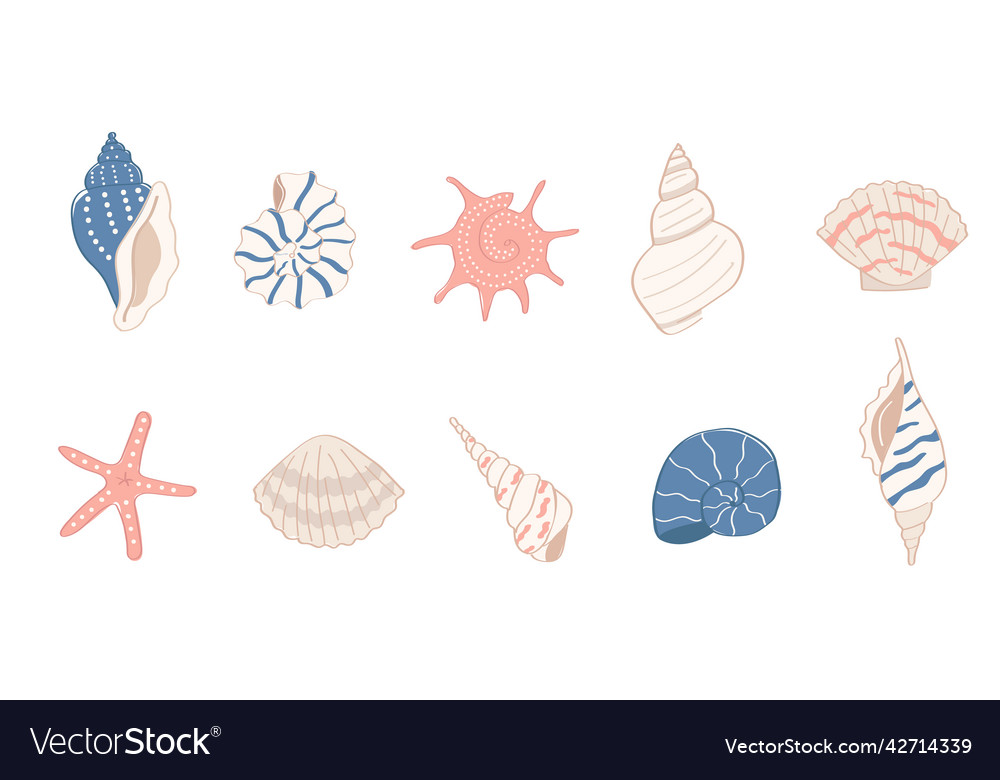 A set of colorful cartoon style sea shells