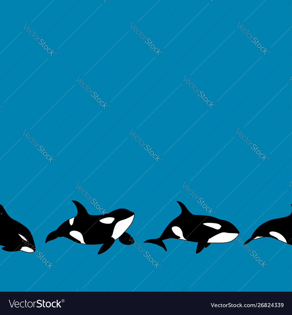 Seamless border graphical killer whale