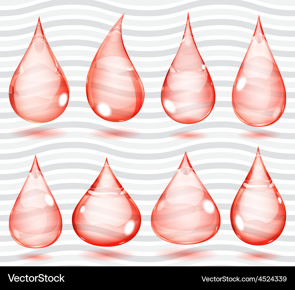 Transparent red drops Royalty Free Vector Image