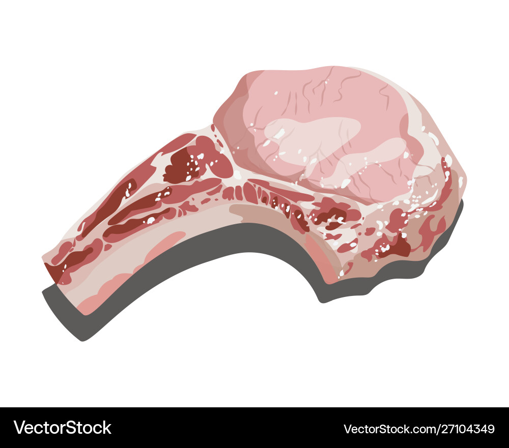 A piece fresh meat meat product on white Vector Image