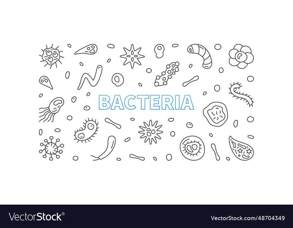 Bacteria concept outline horizontal minimal Vector Image