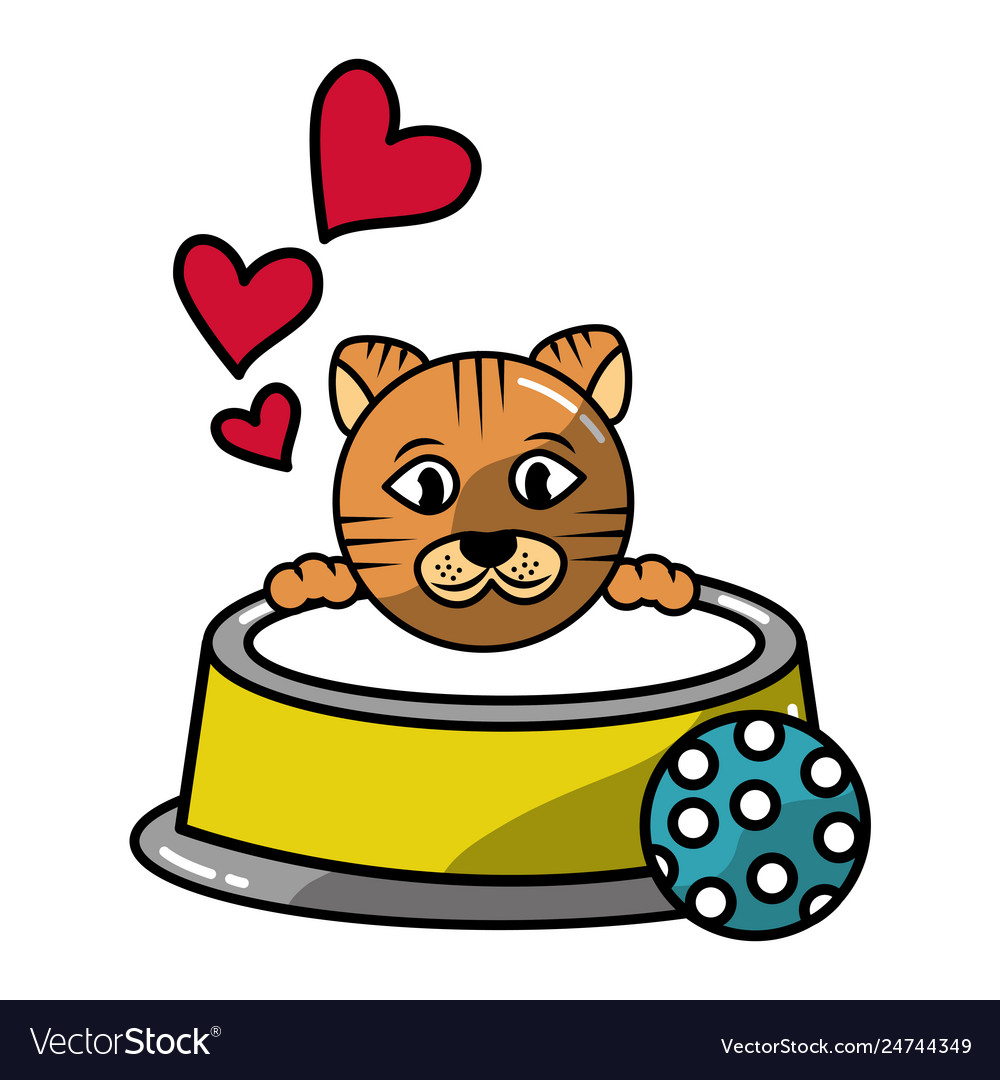 Cute cat with milk bowl and ball toy