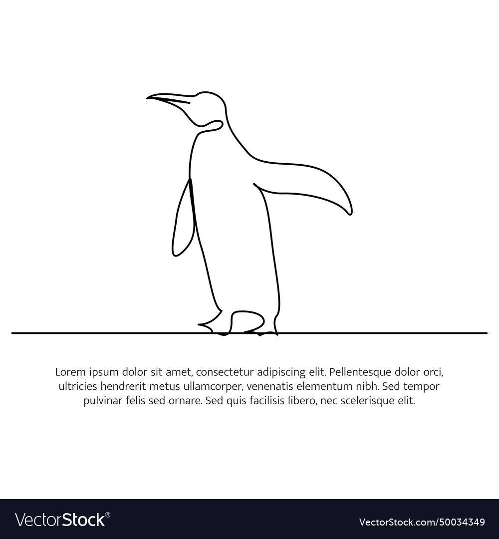 Penguin line design simple animal silhouette