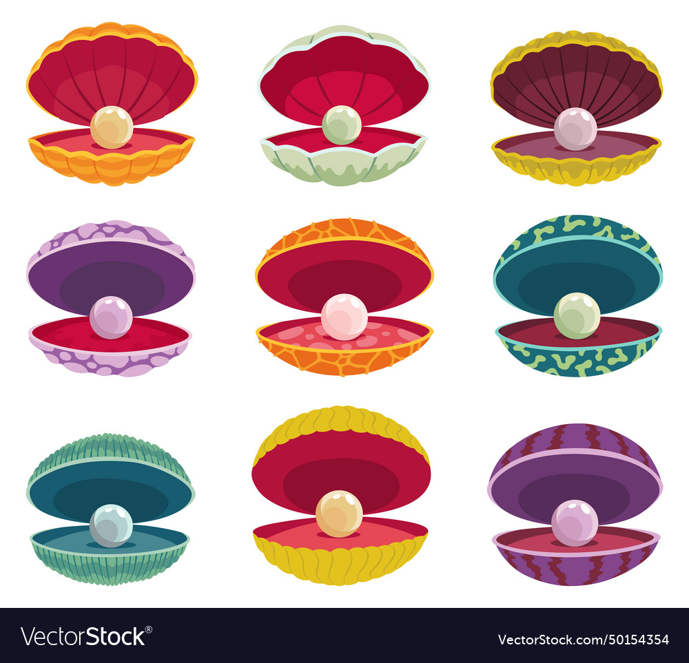 Pearls in seashell open seashells scallop Vector Image