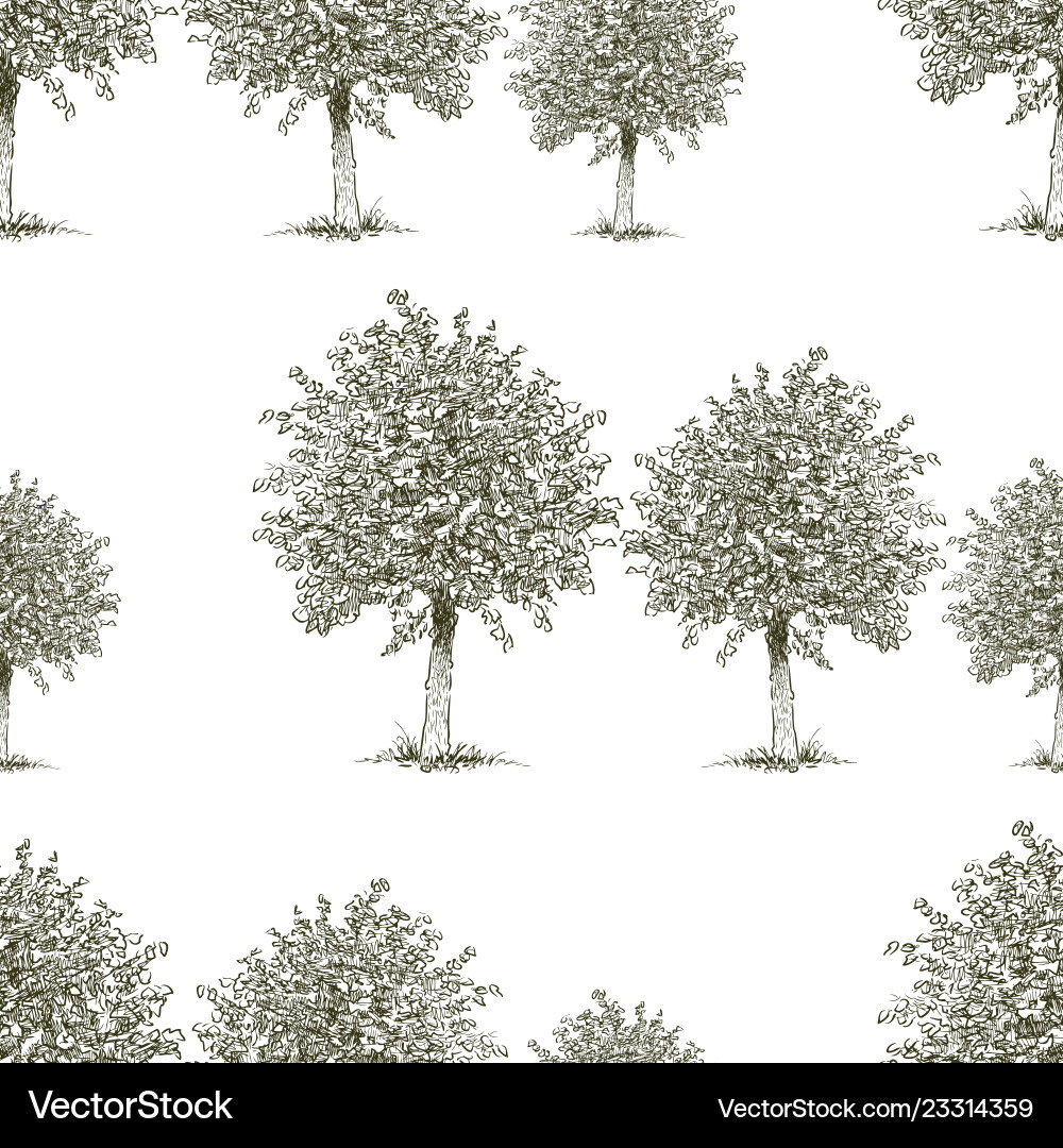 Pattern of the deciduous trees Royalty Free Vector Image