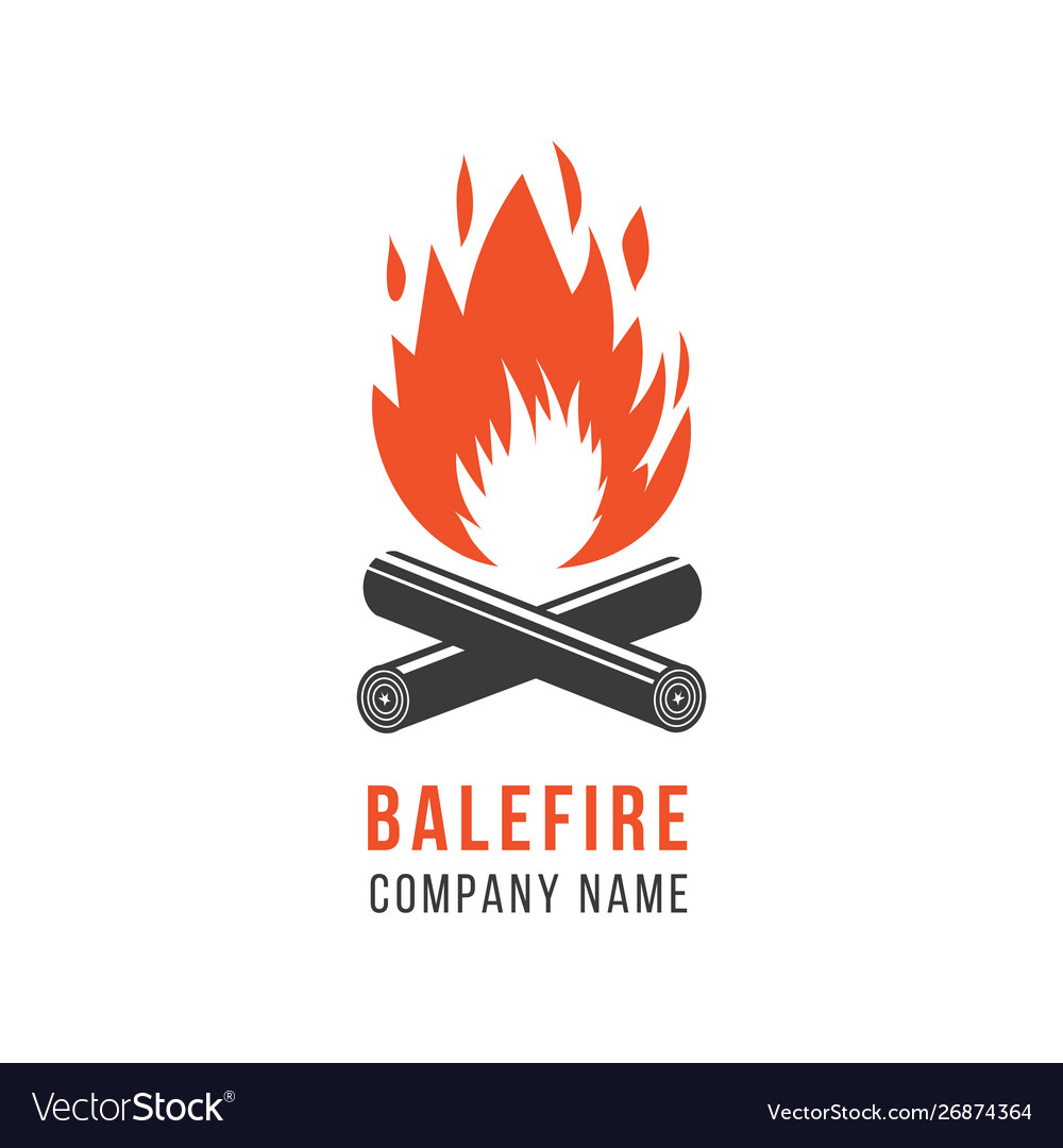 Company logo template symbol and icon fire and Vector Image