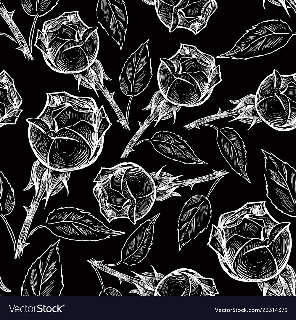 Pattern of the roses sketches Royalty Free Vector Image