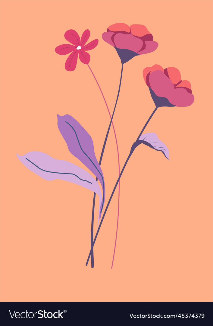 Tender bouquet of flowers in blossom blooming Vector Image