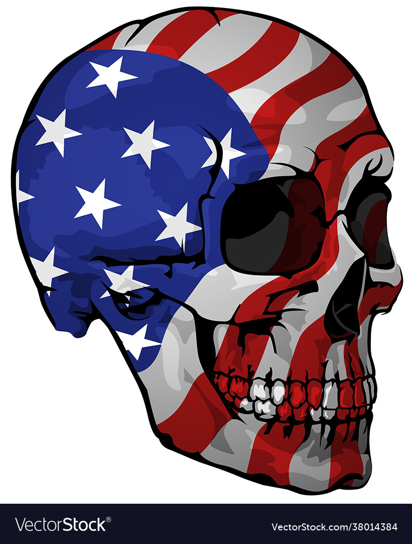 America flag painted on a skull Royalty Free Vector Image