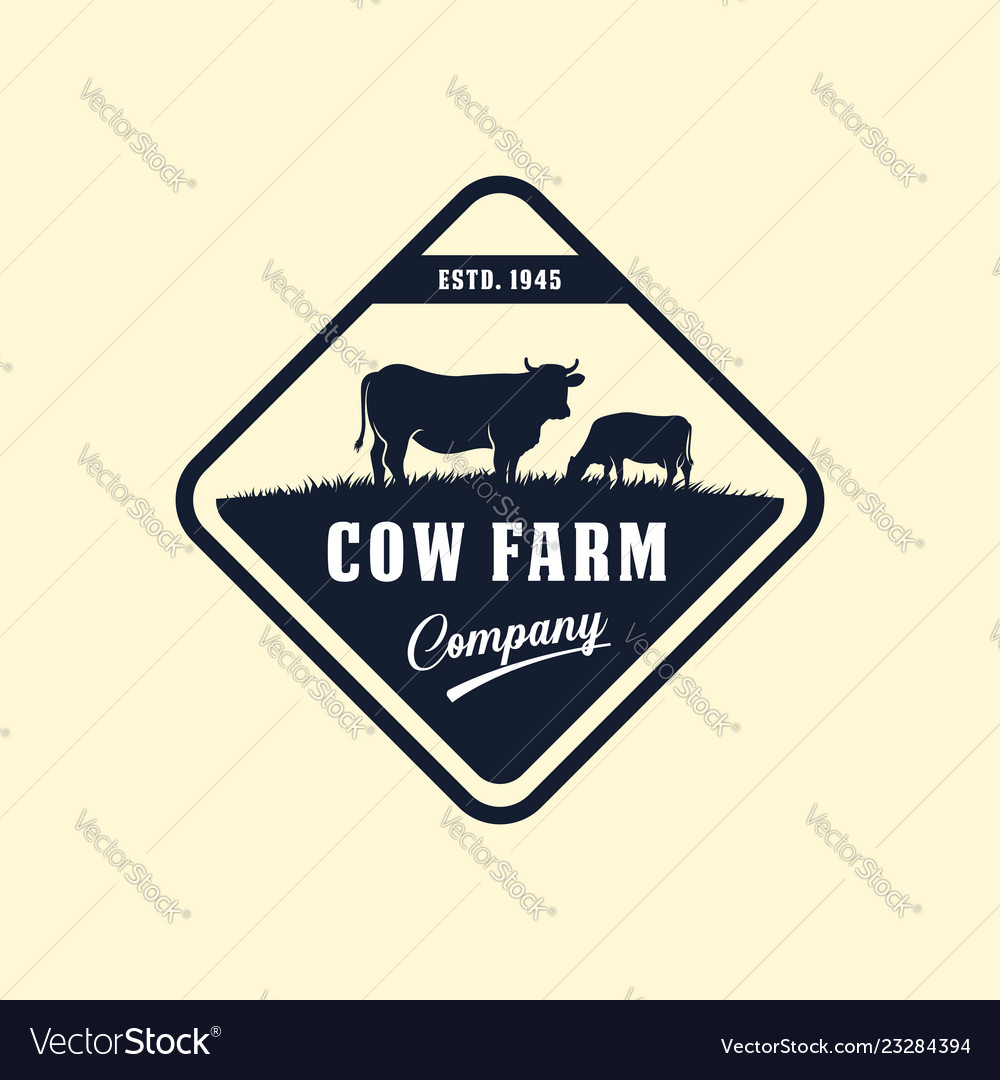 Schwarzer Angus Logo Design Vorlage Kuhfarm