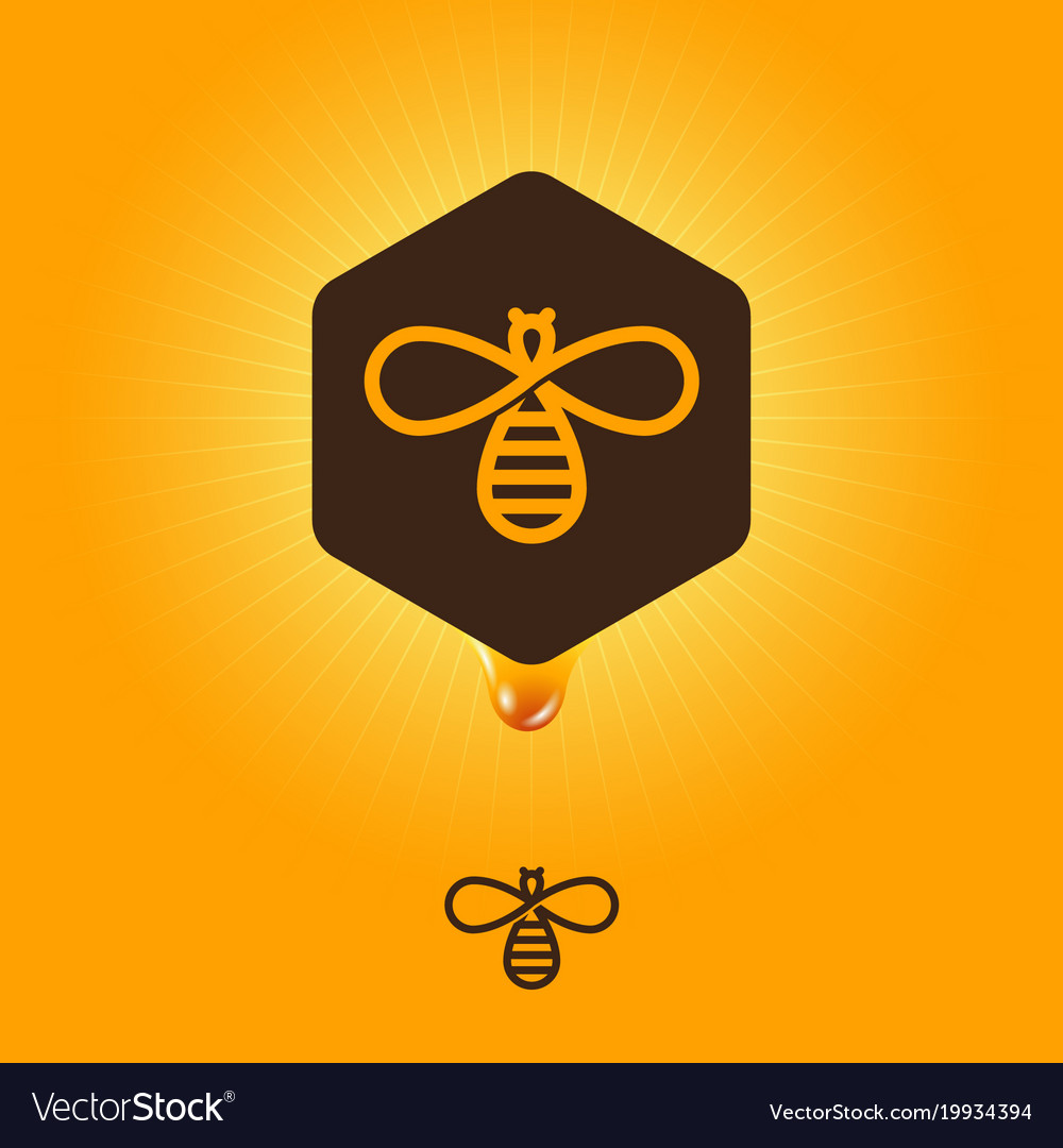 Honey logo emblem bee hexagon drop