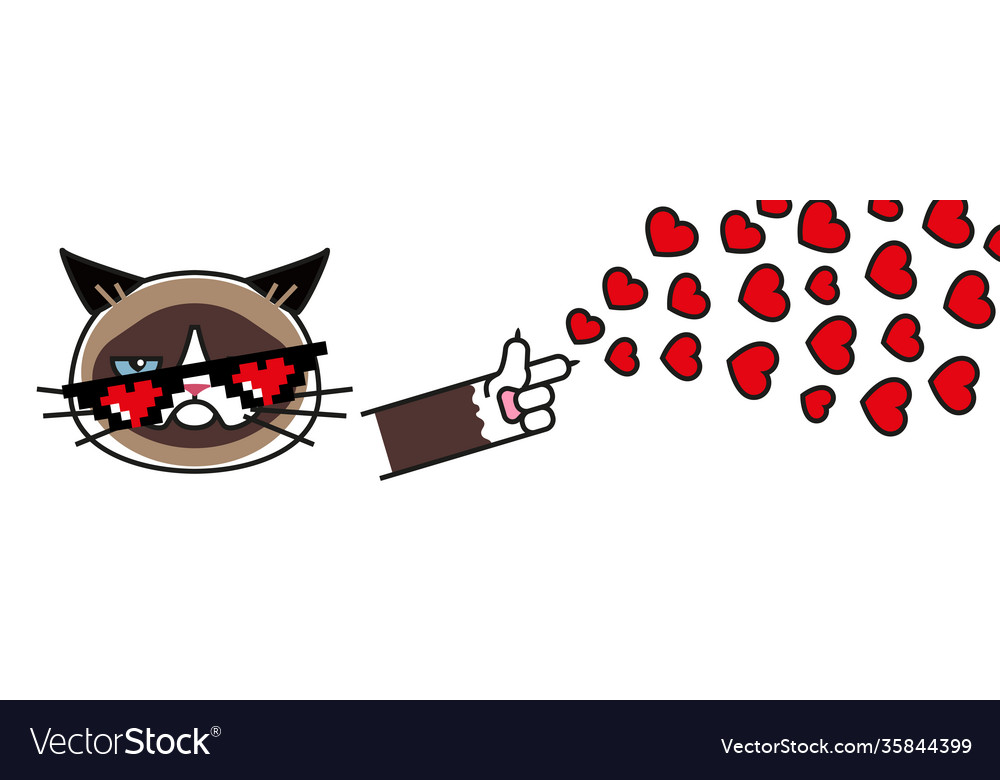 Shy Grumpy Cat. Meme Cat Isolated Whitebackground Stock Vector