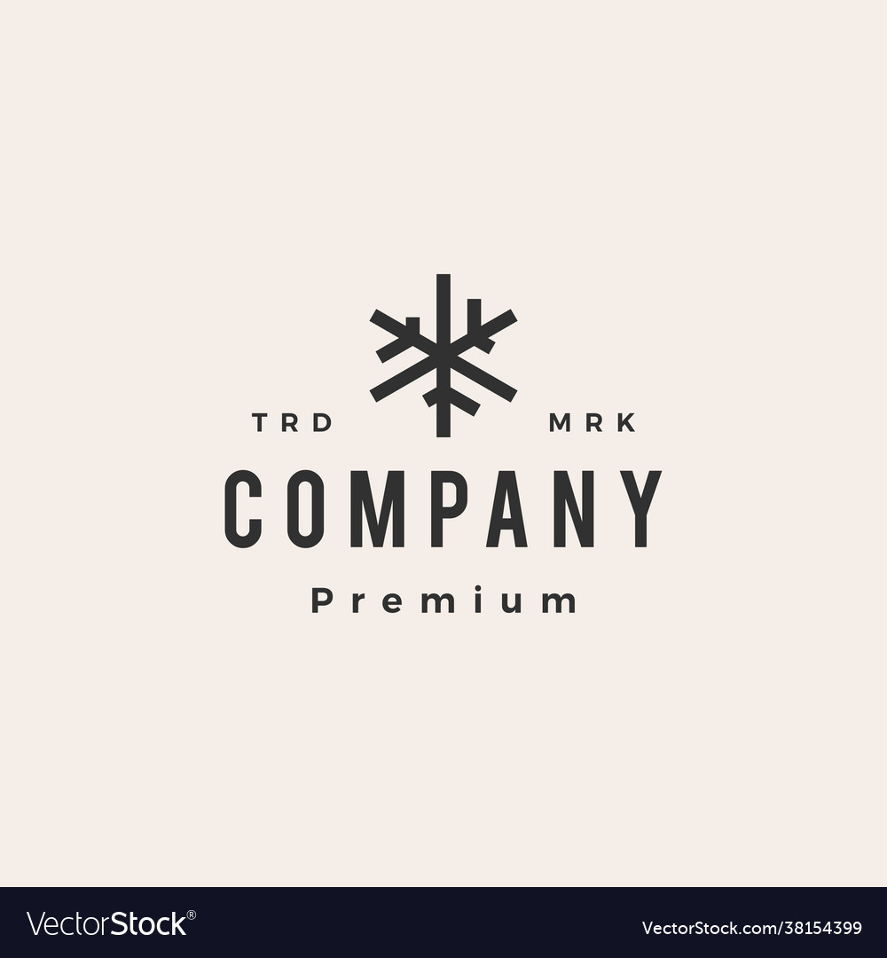 Snow flakes hipster vintage logo icon