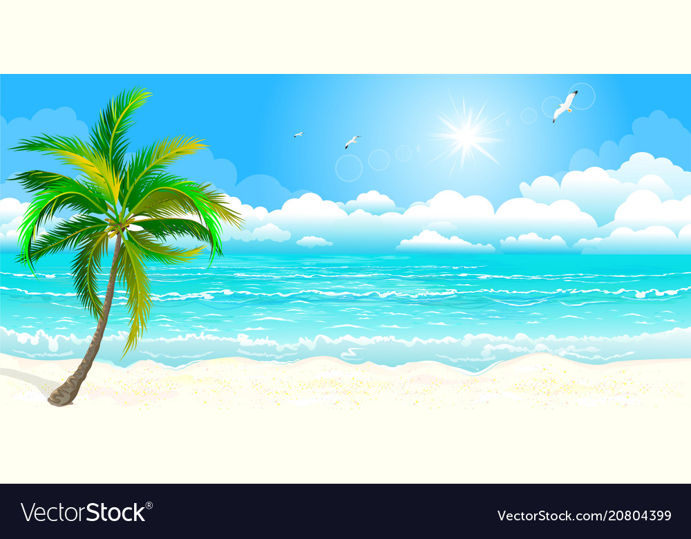 Tropical coast Royalty Free Vector Image - VectorStock