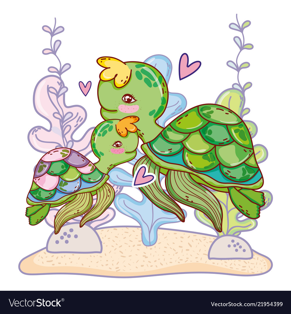 Turtle family animal with seaweed plants Vector Image