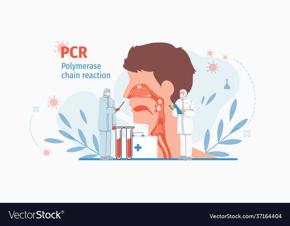 Flat cartoon doctor characters at workpcr test vector image Flat cartoon doctor characters at workpcr test