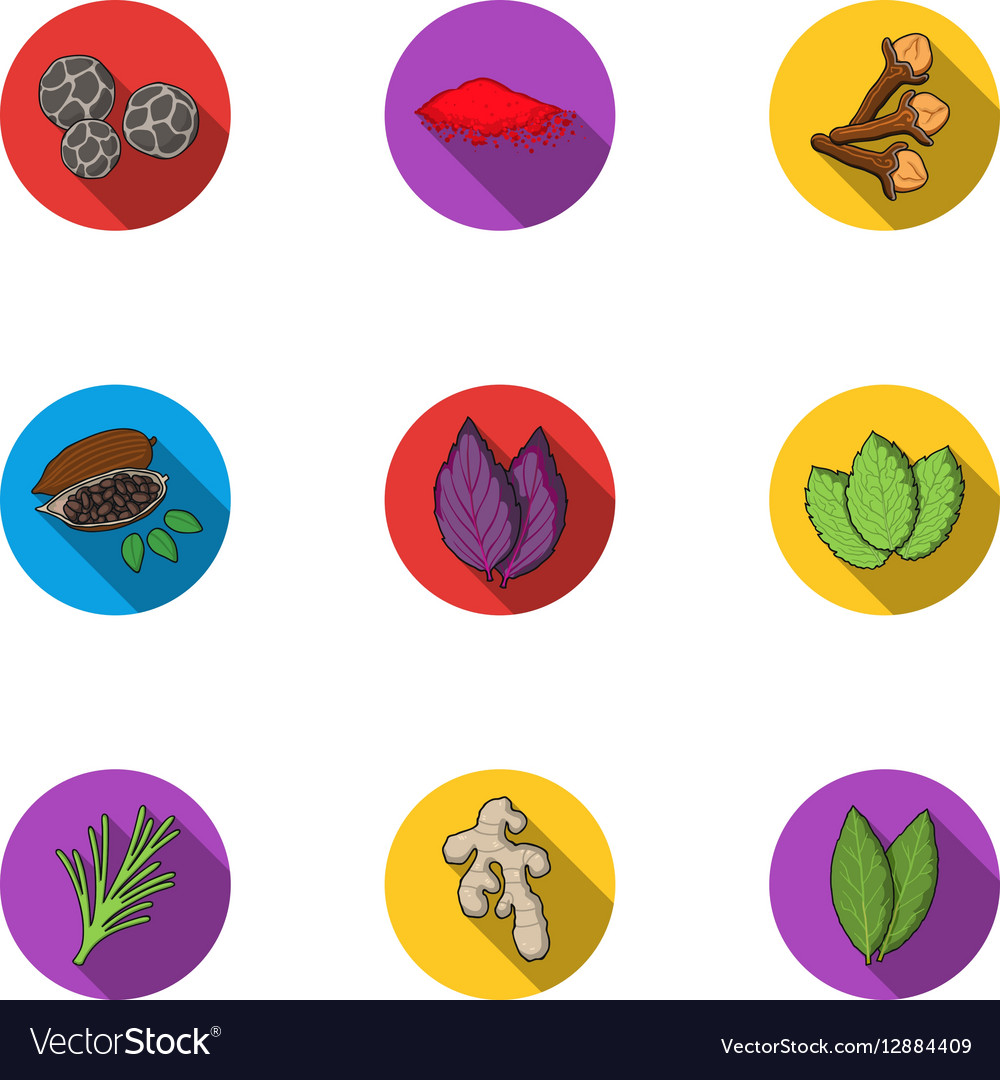 Herb and spices set icons in flat style big