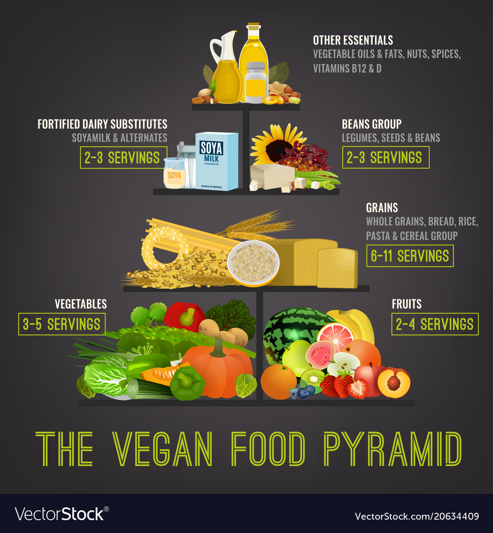 plant based diet pyramid vector image