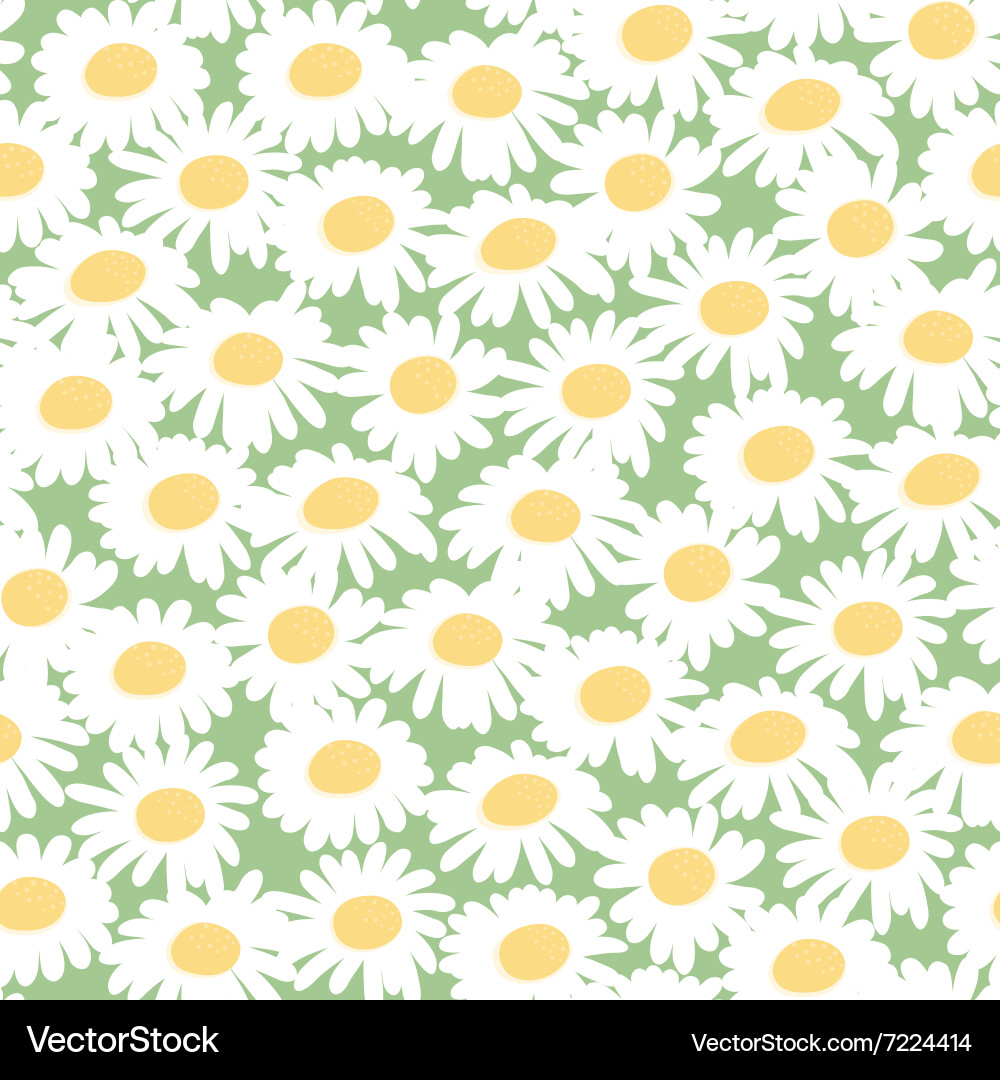 Seamless floral pattern with chamomiles Royalty Free Vector