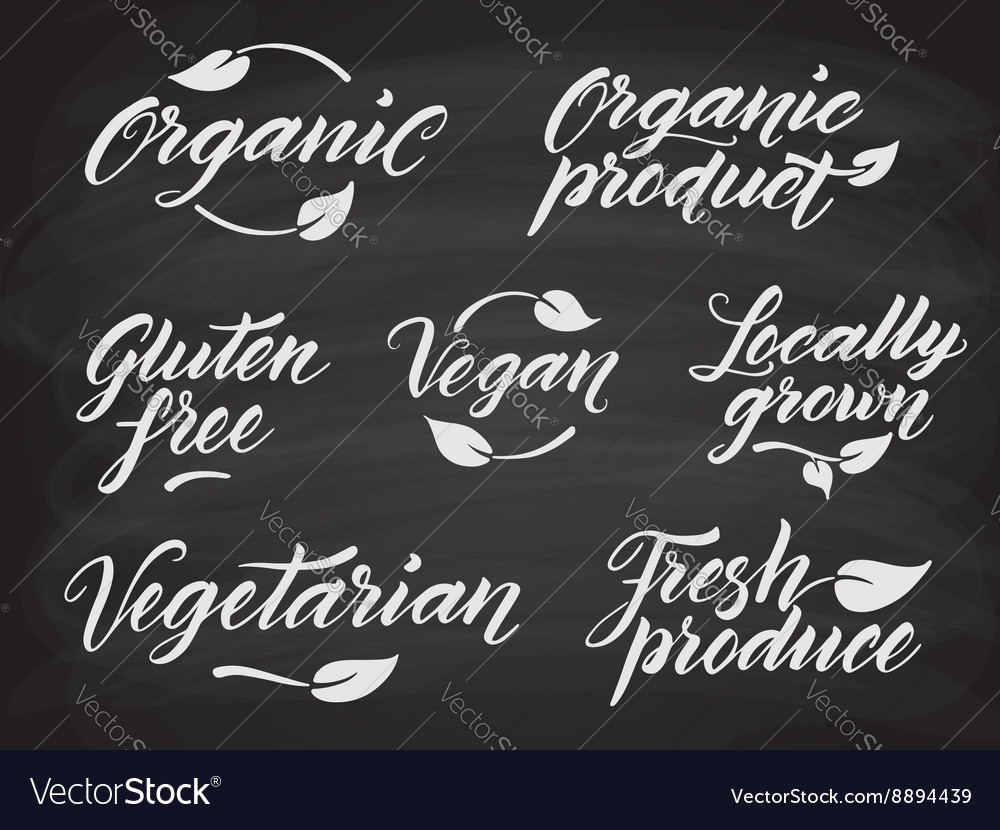 Hand drawn healthy food letterings stylized with Vector Image