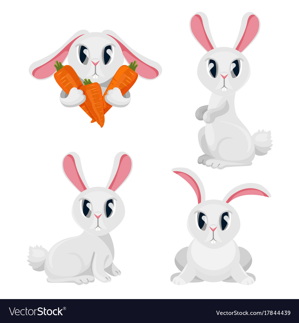 Long haired rabbits set in different positions Vector Image