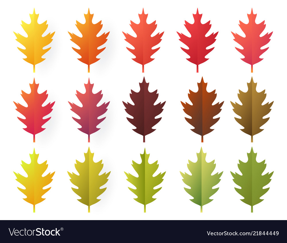 Paper Cut Autumn Leaves Set Fall Leaves Colorful Vector Image - Paper Cut Autumn Leaves Set Fall Leaves Colorful Vector Image