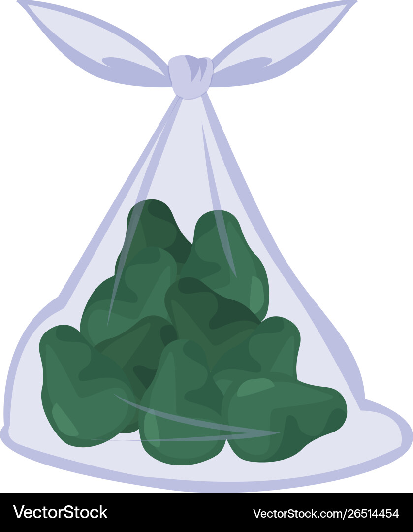 Fresh fruit avocados in bag plastic Royalty Free Vector