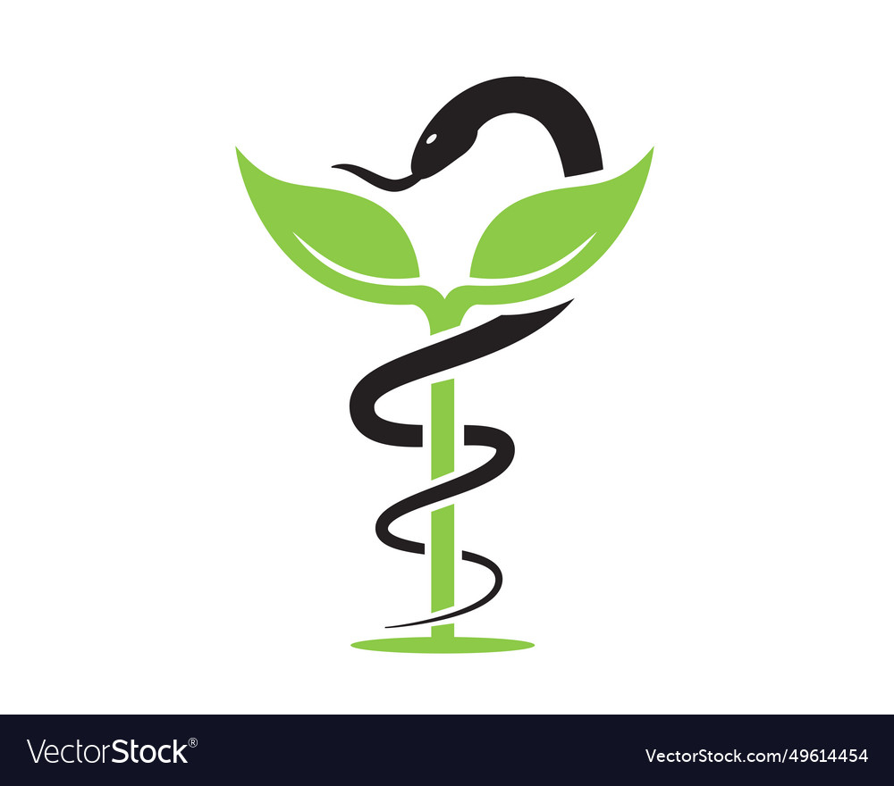 Leaf caduceus logo designs for medical service