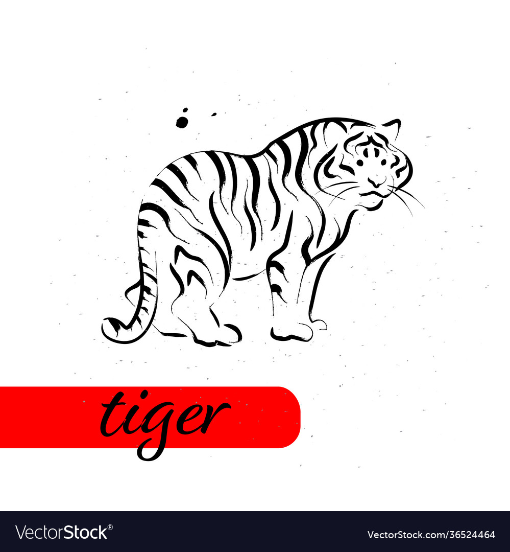 Chinesischer Tiger Jahr Kalender Tier Silhouette