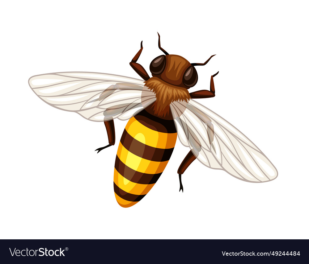 Cute bee sticker Royalty Free Vector Image - VectorStock