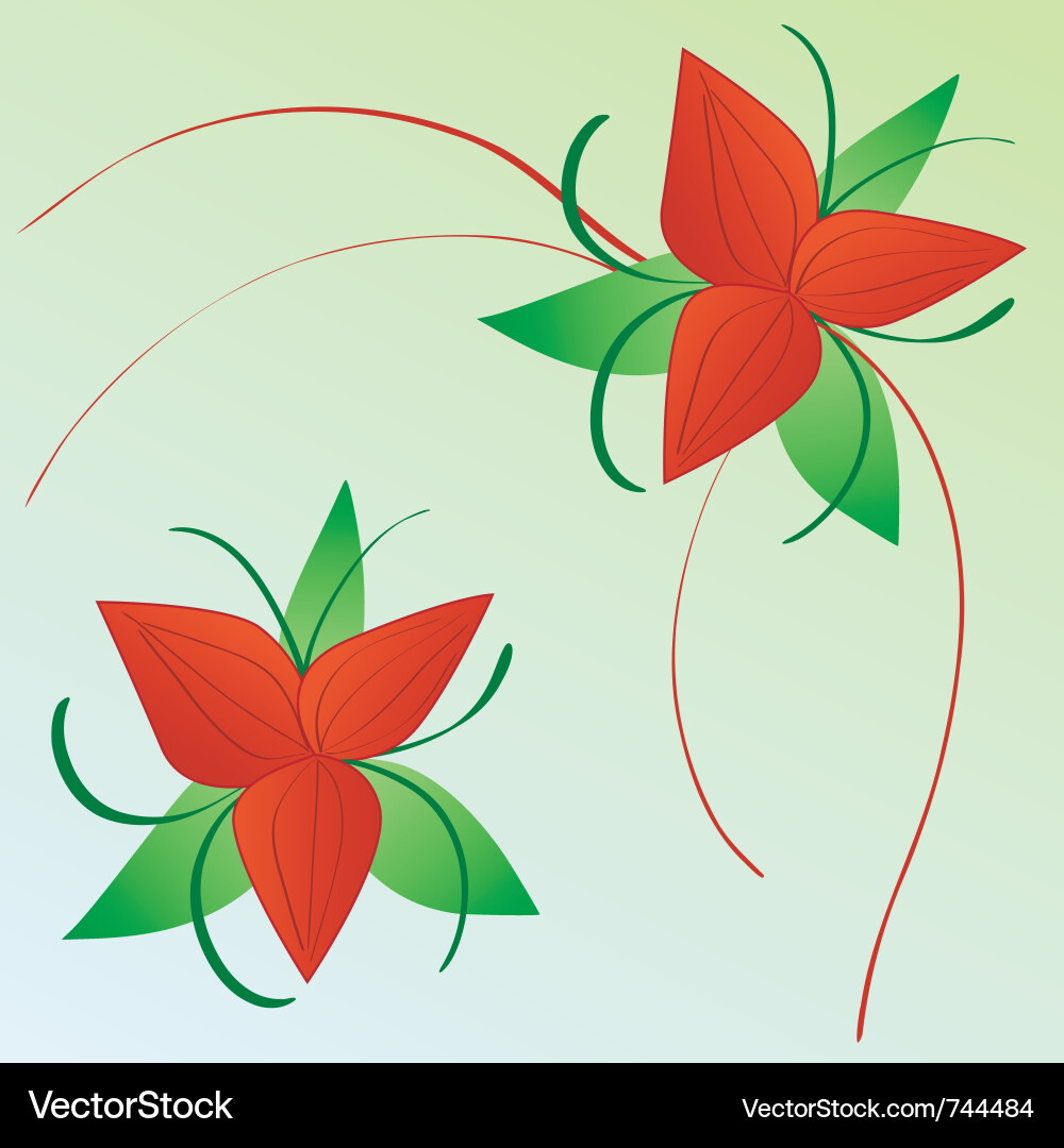 Floral composition Royalty Free Vector Image - VectorStock