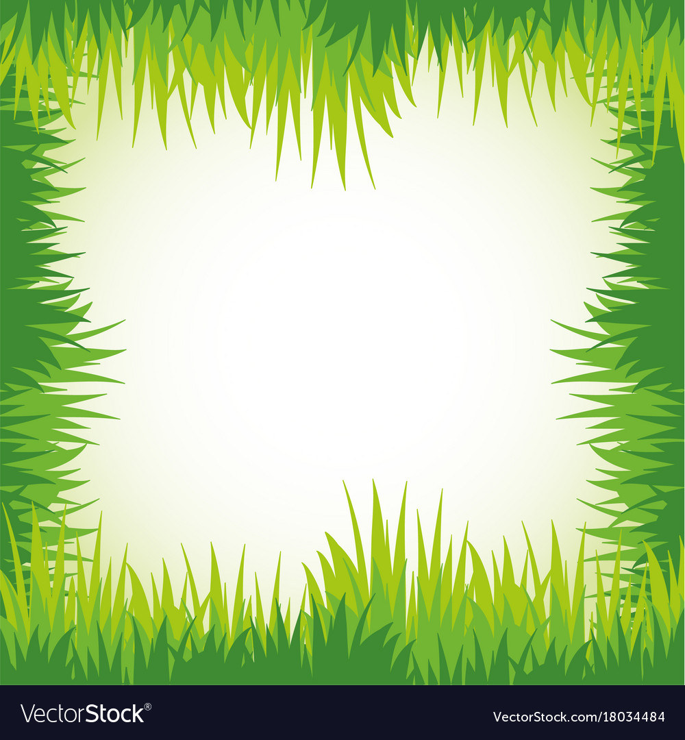 Green grass for frame template Royalty Free Vector Image