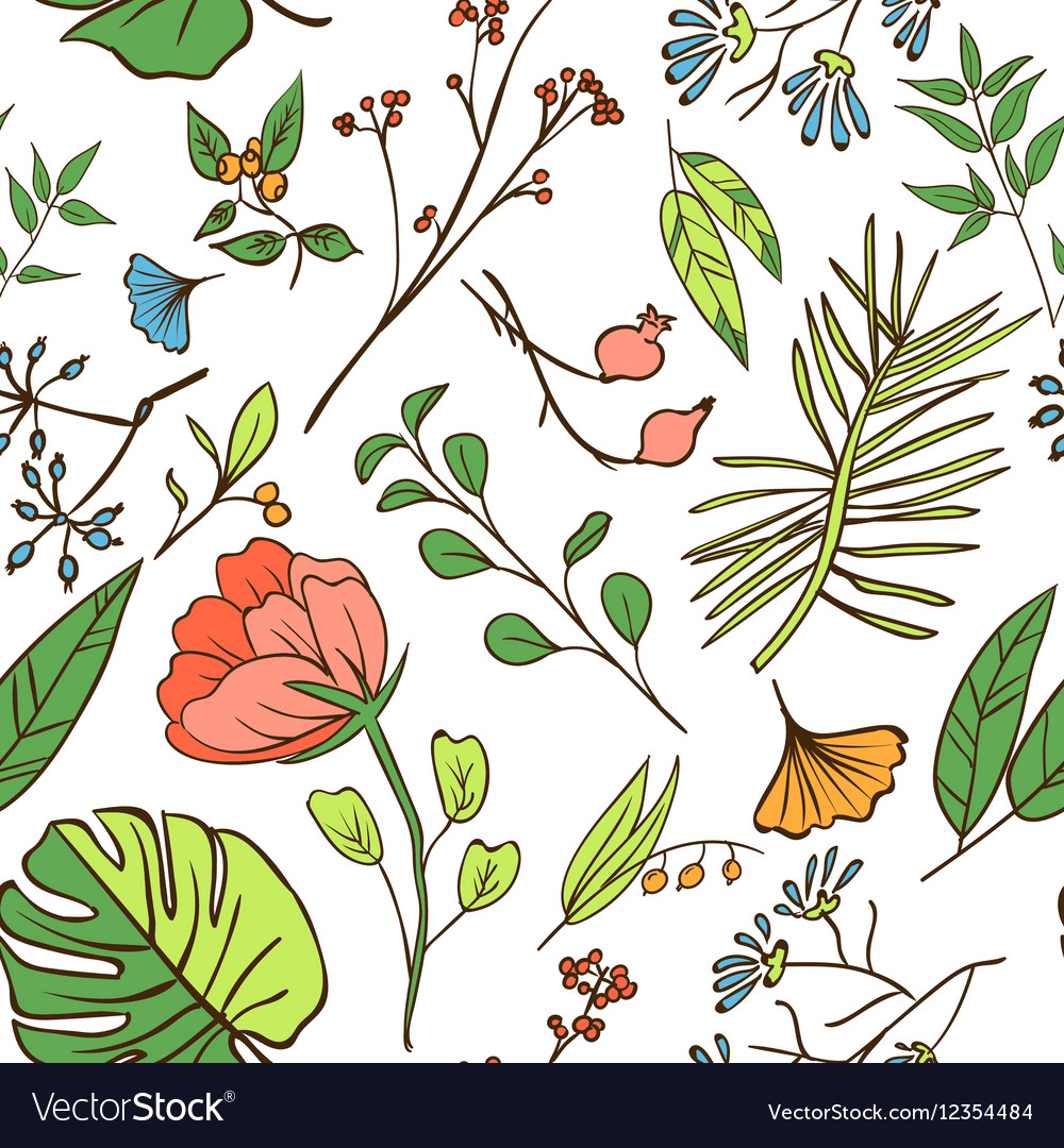 Plants And Herbs Seamless Pattern Royalty Free Vector Image