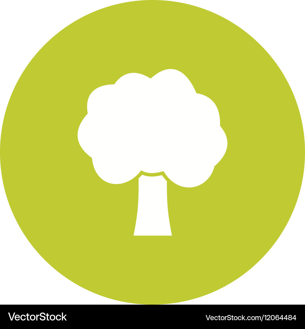 Tree Royalty Free Vector Image - VectorStock