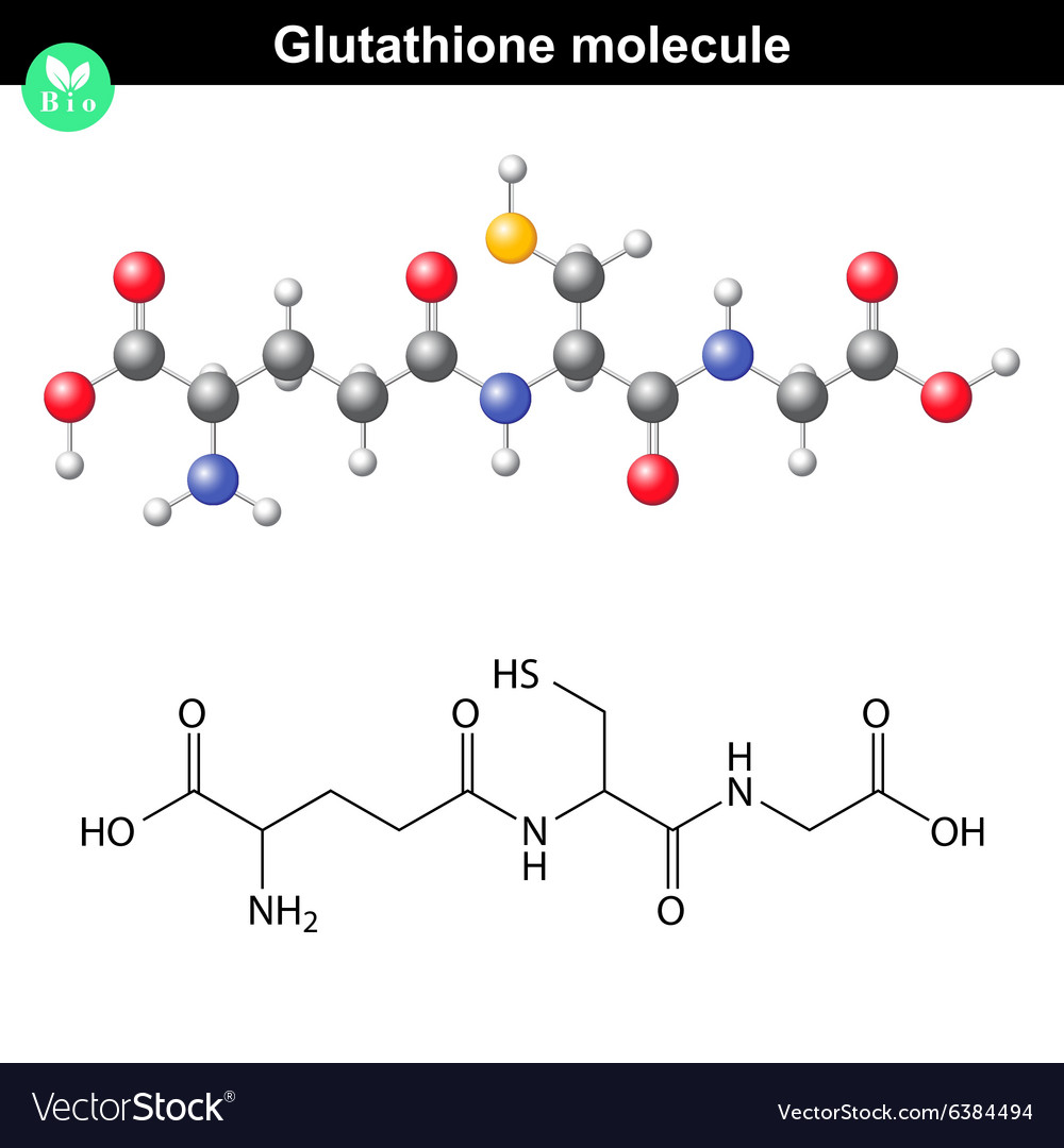 Glutathione Chemical Molecule Royalty Free Vector Image 5466