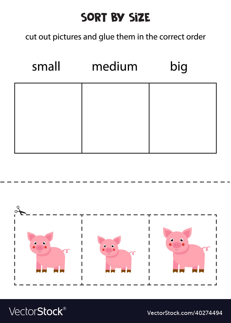 Sort pictures by size educational worksheet Vector Image