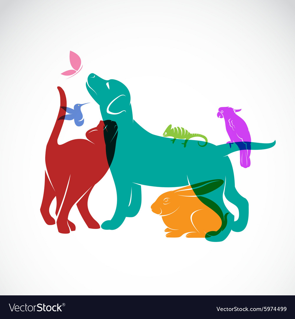 Pets Royalty Free Vector Image VectorStock