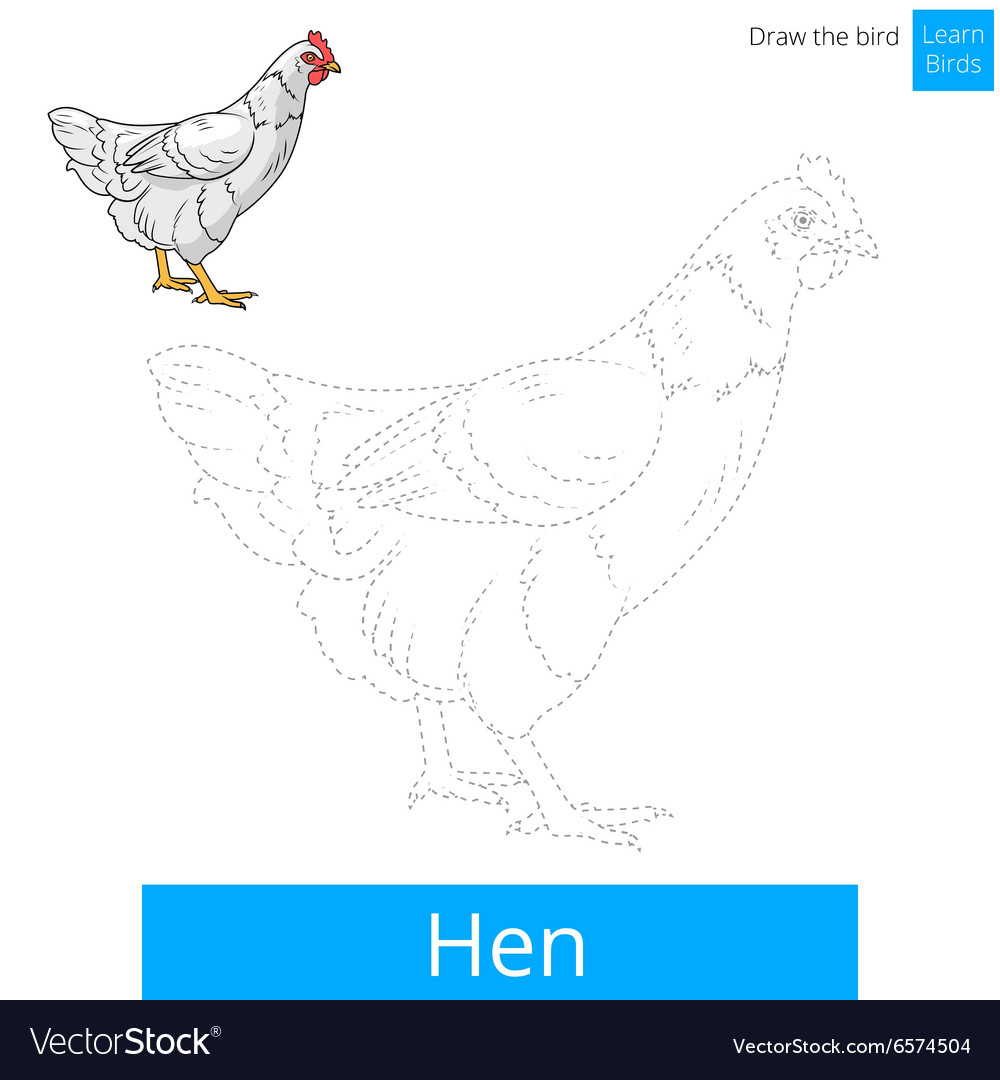 Hen bird learn to draw