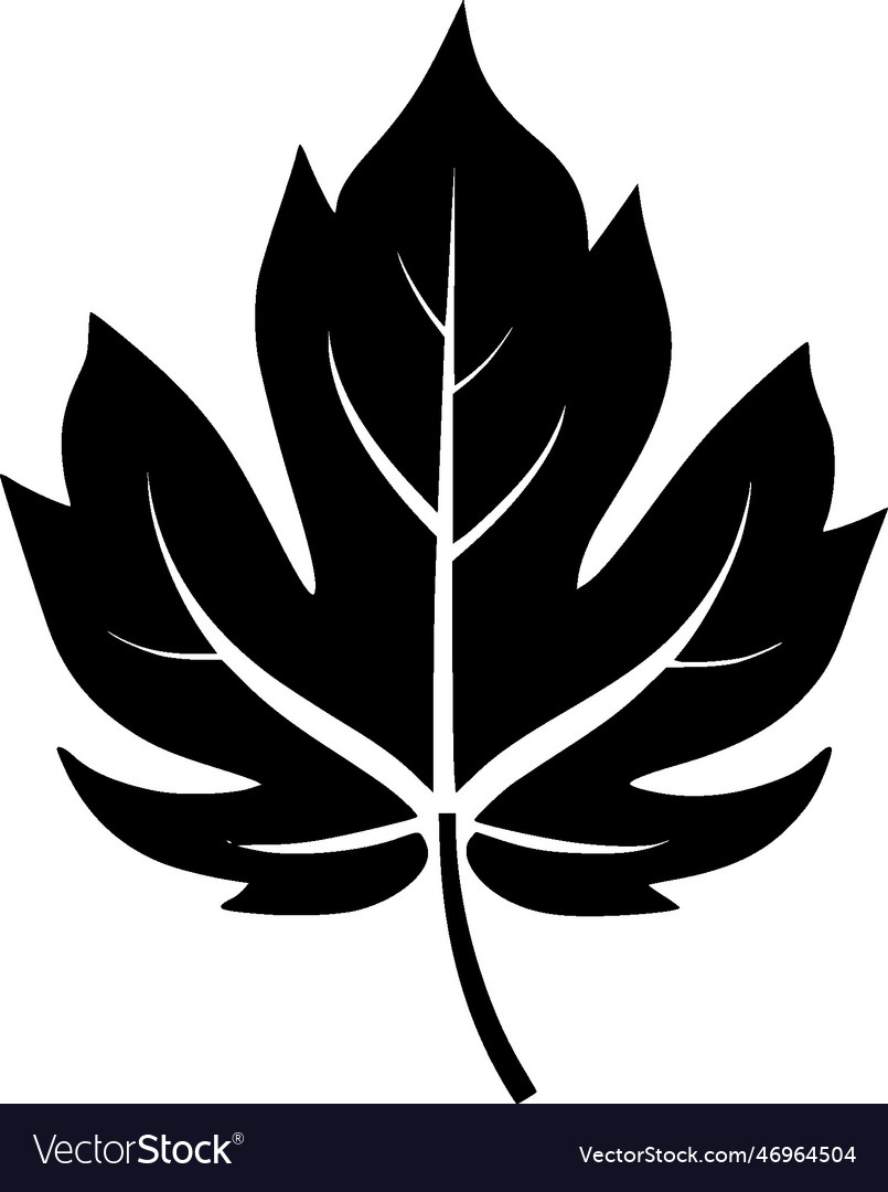 Leaf silhouette 1 Royalty Free Vector Image - VectorStock