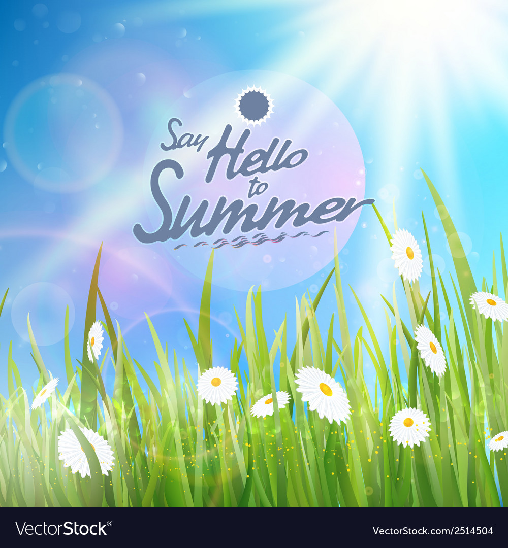 Sunny natural background with sun and grass